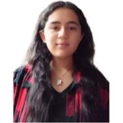 Clases particular, refuerzo escolar, cualquier grado